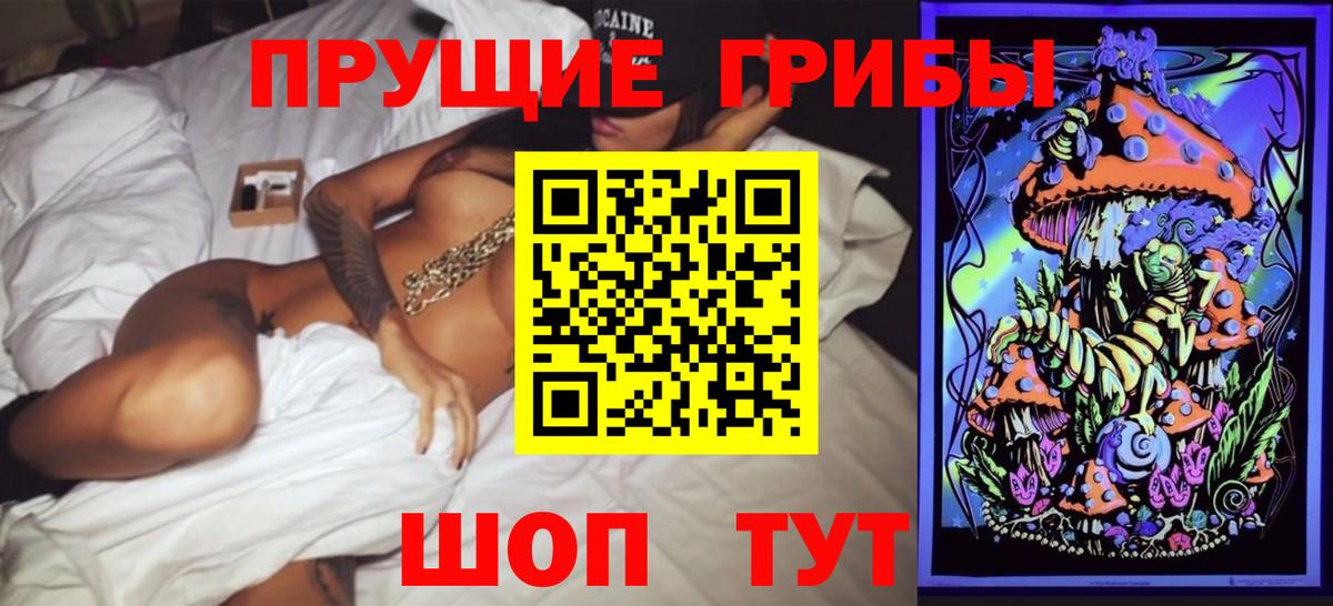 Псилоцибиновые грибы прущие грибы  продажа наркотиков  Звенигород  Вход с VPN  Галлюциногенные грибы Psilocybine cubensis 